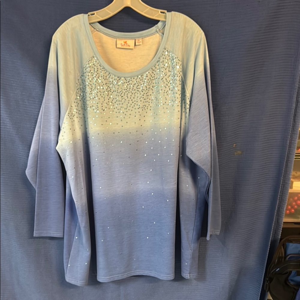Quacker Factory Blue Long Sleeve Tee Top
